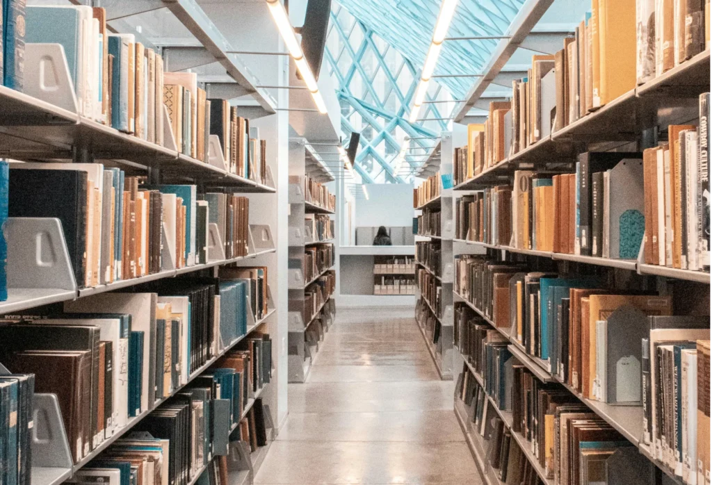 Librarian skills in document management and AI